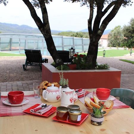 La Bastide De Nini Bed & Breakfast Carces Exterior photo